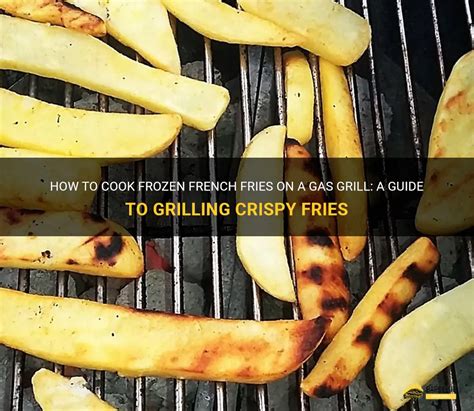 how to cook frozen french fries on gas grill